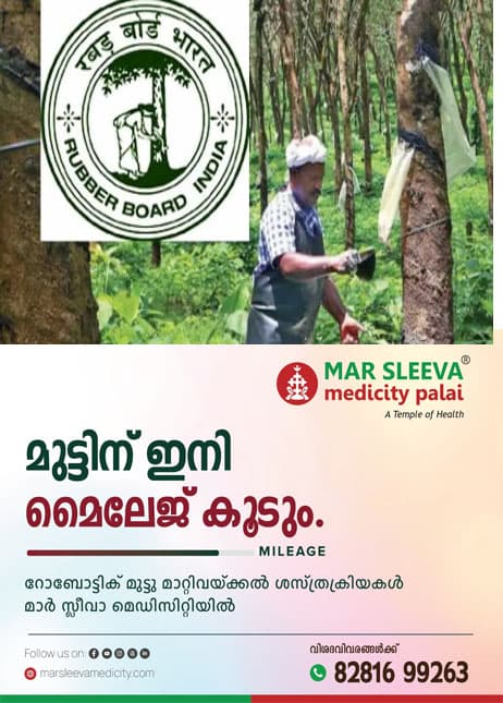 കോട്ടയത്തെ റബ്ബർ ബോർഡിൽ ജോലി നേടാൻ അവസരം;30,000 രൂപ തുടക്ക ശമ്പളം; തപാൽ മുഖേന അപേക്ഷിക്കാം