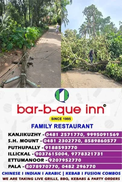 കോഴിക്കോട് സ്വകാര്യ വ്യക്തിയുടെ പറമ്പിലെ മരം ജെസിബി ഉപയോഗിച്ച് മാറ്റുന്നതിനിടെ അപകടം;11 ഇലക്ട്രിക് പോസ്റ്റുകൾ തകർന്നു; വൻ നാശനഷ്ടം